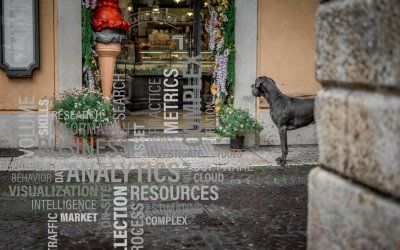 Analítica Web para Restaurantes | Otto Duarte